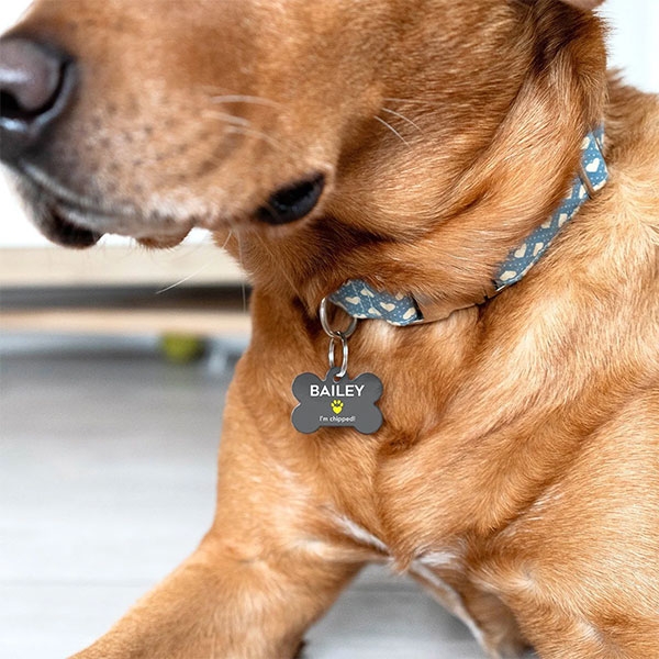 Kучешка визитка медальон Pet Tag