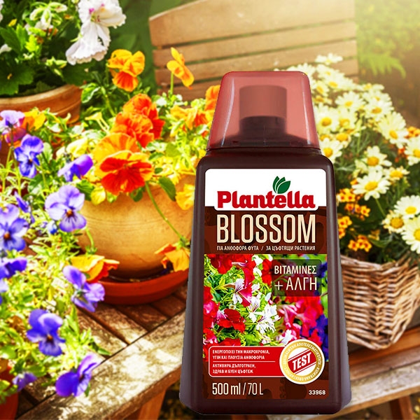 Течен тор за цъфтящи растения Plantella